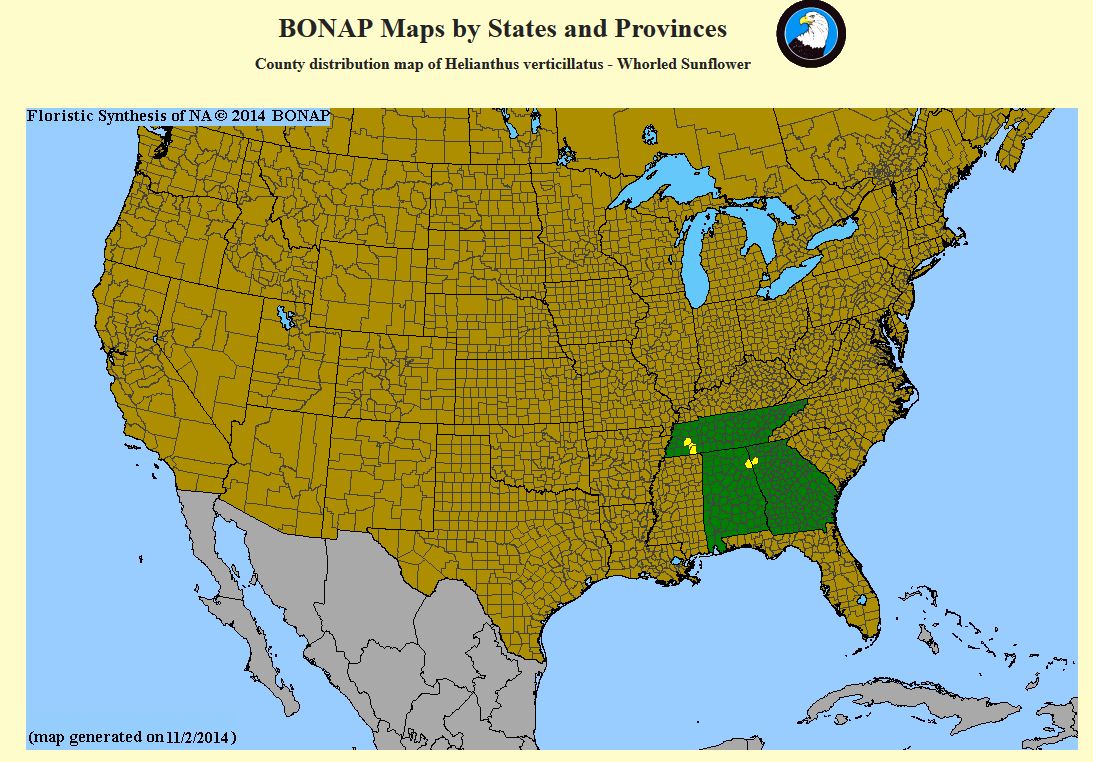 BONAP_H_verticillata